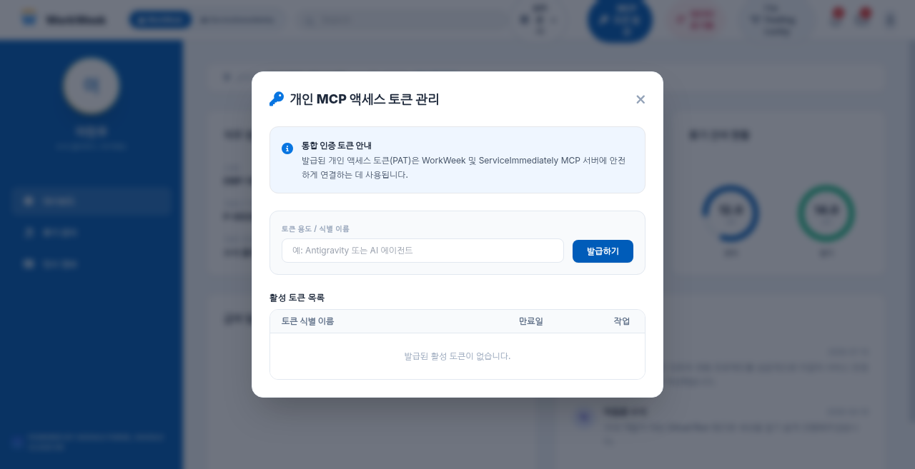 MCP 토큰 발급